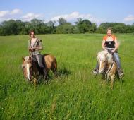 Haflinger Andrea Burkotová