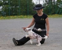 Dogdancing, tanec se psem - foto: Pes Jíra