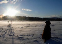 Zlatý lovec - Karel Zekníček Zlatý lovec - Karel Zekníček