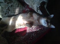 2010.09.11 Pohodář