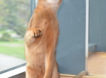 MVK Ostrava 21.04.2012