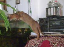 2010.03.16 Ne utíkejte!!!