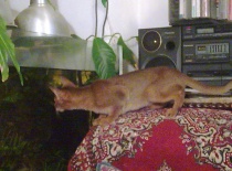 2010.03.16 Jste chutné?