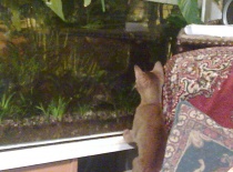 2010.03.16 Kdo jste?