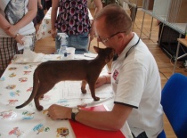 2010.06.13 MVK Vinične 