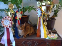 27.04.2010  První výstava a hned dvě výhry!