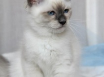 305028 338473476245409 1538644497 n