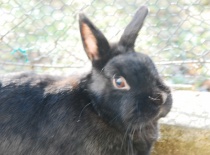 Co dodat, prostě Ťapka