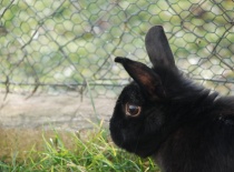 Malá, ale zvědavá