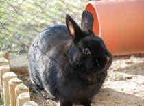 Tento den byl na proběhnutí jako dělaný