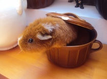 a zase ten blbej hrnec