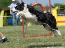 2010, Rozkoš u Č.Skalice, foto: p.Ivan Růžička