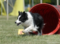 2010, Rozkoš u Č.Skalice, foto: p.Ivan Růžička