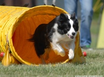 2010, Rozkoš u Č.Skalice, foto: p.Ivan Růžička