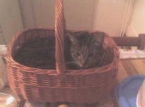 Zuzanka  a jdem na houby