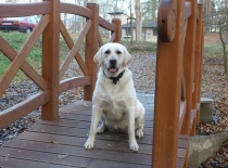 jak dlouho než to cvakneš?