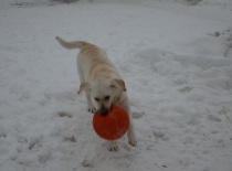 míček, míček, míčéék