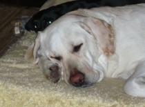 hlavně pohodlíčko....