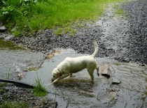 voda, voda, vodááá