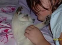 [field_gallery-nid]_[filefield-onlyname-original].[filefield-extension-original]