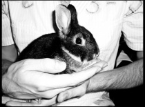 396028 1825780020556 779831086 n