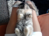 396691 2283490703037 1697688606 n