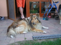 254438 1738244257740 1287643696 31471948 7578284 n