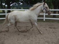 264165 158450110893405 100001852503600 368775 4769798 n