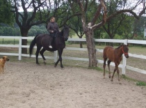 267537 158449437560139 100001852503600 368763 5001975 n