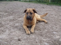 268678 158447550893661 100001852503600 368722 1797723 n