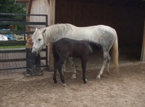 270002 158448270893589 100001852503600 368739 925801 n