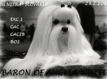 Baron of Angela White