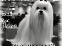 Baron of Angela White