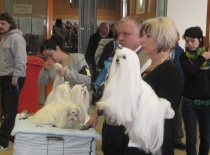 Baron of Angela White