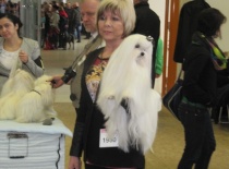 Baron of Angela White