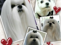 Baron s otcem a matkou