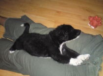 spinkám na paničce