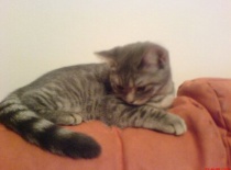 ještě malé miminko