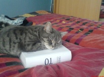 těžká literatura:)