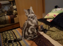 Chagy-to je ale fešák,že!?