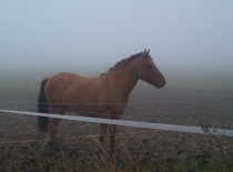 148389 167897869907956 100000632310843 397593 2470229 n