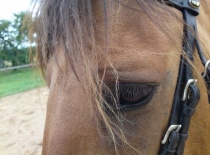 149632 167896196574790 100000632310843 397557 775401 n