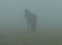 154494 167897709907972 100000632310843 397590 297380 n