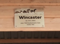 154650 167896599908083 100000632310843 397567 2220647 n