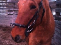 163447 180712125293197 100000632310843 487901 8084371 n