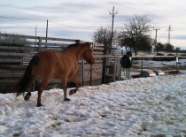 163618 179806265383783 100000632310843 482167 572704 n