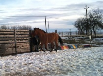 163986 179806218717121 100000632310843 482165 1617193 n