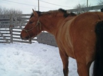 164134 178093075555102 100000632310843 469685 1041964 n