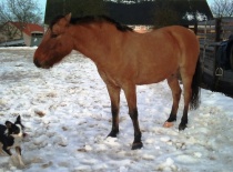 166187 179805782050498 100000632310843 482145 3167456 n