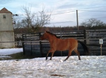 166219 179806185383791 100000632310843 482164 2654486 n